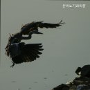 선비뇨기과의원 이미지