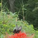 운주면 행정복지센터 이미지