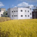 기타(오후) 이미지