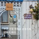 세븐일레븐부산기장연화리점 | 부산 기장 연화리 오션뷰 카페 연화의 바다 | 감성 데이트 명소 후기