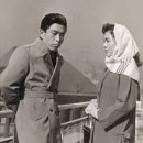 장성양계장 이미지