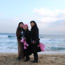 정동진역 이미지