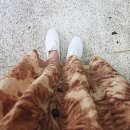 순살 갈치조림 &#34;제주 순천미향&#34; 웨이팅 산방산본점 . 내돈내산 솔직후기 . 벌써 2번째 방문중 !(•̀ᴗ•́)و ̑̑