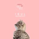 이을동물병원 이미지