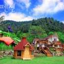 비피펜션 이미지