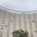 호텔 M7 | 용인기흥호텔 숲속에서 들려오는 새소리에 반해버린 호텔 숲 후기