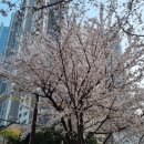 갈비가 | 해운대 고기맛집|해운대 갈비가맛있다 내돈내산후기