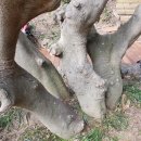 주식회사 대교 이미지