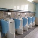 둔전초교 이미지