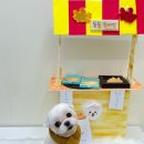 허그몽몽 이미지