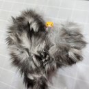 고양이무마취미용 묘갱살롱 이미지