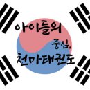 한국체대 천마태권도 이미지
