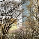 본낭 이미지