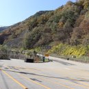 평화로03 이미지