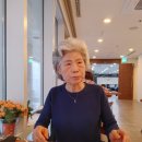 렌즈타운 노량진점 | 비 내리는 날 친정엄마와 1박2일 부산 여행 둘째 날