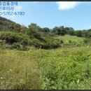 진성개발 주식회사 이미지