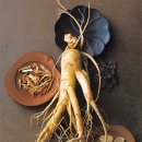 이인의비뇨기과의원 | 인삼 &amp; 산삼