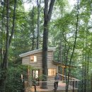 트리하우스 이미지