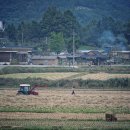 녹차향기 이미지