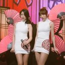 다소니 이미지