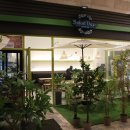 샐러데이즈 미사역점 | 하남미사맛집인 샐러데이즈 하남미사역점에 다녀왔어용