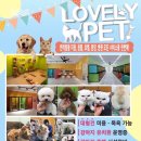 러블리(Lovely) 강아지