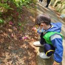 모라산림공원 이미지