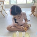 하비함미 이미지