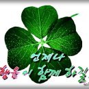 오장육부 Daum카페