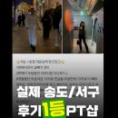 더 피티 이미지