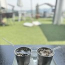 (남양주 나들이) 물의정원 간 뒤 애견동반 카페 리버아일리 내돈내산 후기