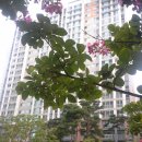 신성대림공인중개사사무소 이미지