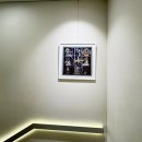 츄츄동물병원 이미지