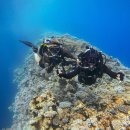 블루홀(BLUE HOLE) 이미지
