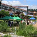 조현초등학교 이미지