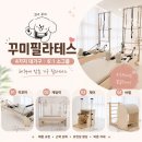 금곡동필라테스 꾸미필라테스 호매실점 후기