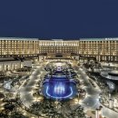 파라다이스D 이미지