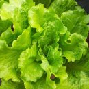 주남영농조합법인 이미지