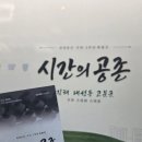 환두대도 | 김해박물관 방문 후기 (특별전, 상설전시관 관람)
