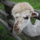 마더농장 이미지