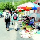 [시장따라 골목따라] 구덕령 꽃마을 &#39;시락국집&#39; 골목 이미지