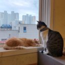 별이랑 놀자 이미지