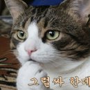 누 이미지