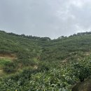 토러스농장 이미지