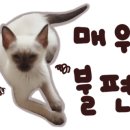 밀사랑칼국수 이미지