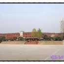 보성중,고등학교
