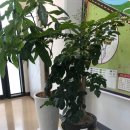 고등호반공인중개사사무소 이미지