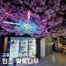 또또와 PC방 이미지