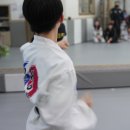 인성 태권도 교육관 | 전하동 유치부의 건강한 태권도 여정