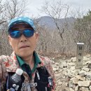 입석대 Daum카페